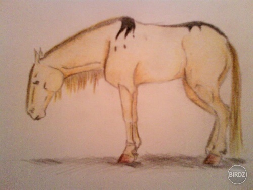 my horse fursona (fursona = charakter, ktorý zobrazuje autora, čiže mňa)