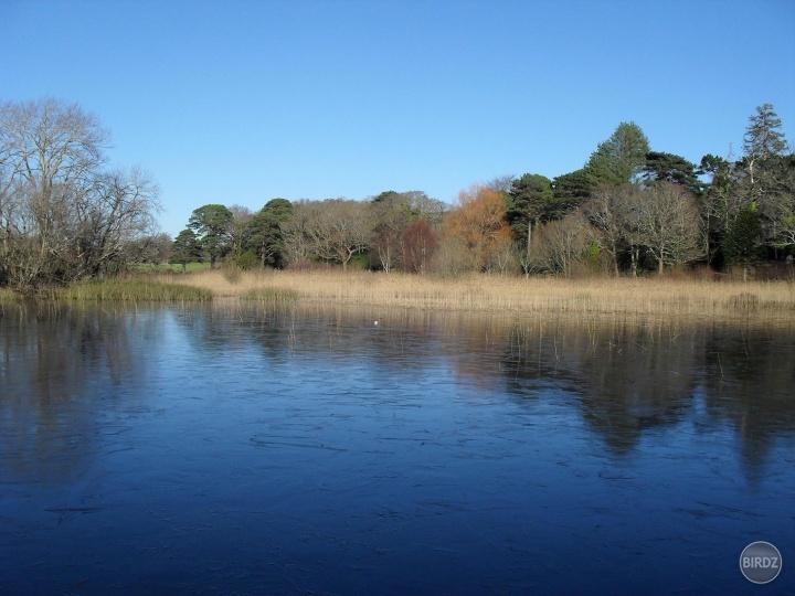 Killarney National Park