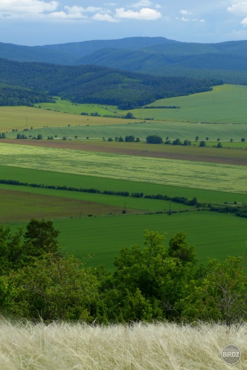 Obrázok