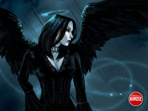 Pure Dark Angel