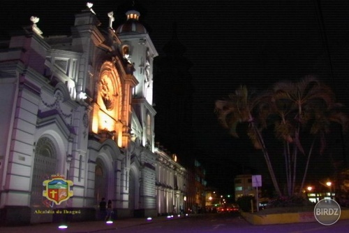 catedral de ibague..