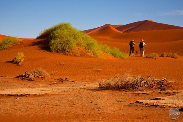 SOSSUSVLEI - filmár a fotograf Miro Pokorný Vás pozýva na Foto Safari do najfotogenickejšej krajiny sveta - viac info na: http://www.offroadtours.sk/fotosafari.html (Foto: Julo Nagy Namíbia/2008)