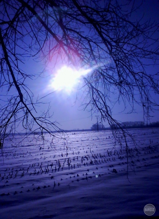 Winter´s lullaby