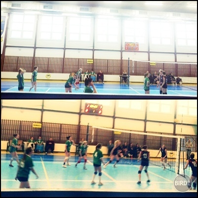 I ♥ voleybal