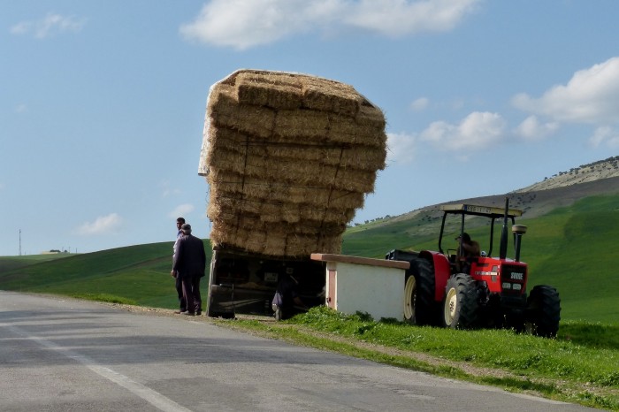 trošku naloženy, Maroko