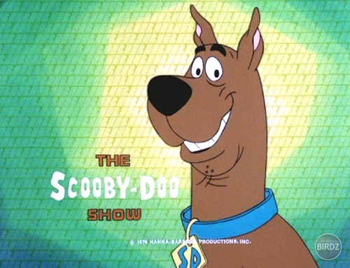 scoobydooshowix5

..toto som si stiahol Scooby-Doo Show...

...,,...