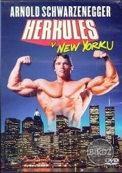 b3a6d95144d5ccc1c344b9954d8de970

..HERCULES v New Yorku...