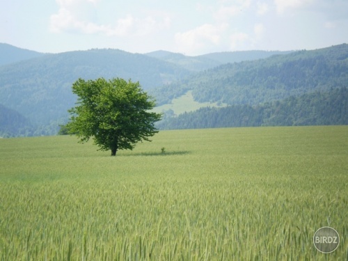 To som bol v Heľpe.Ludia tam bolo pekne!