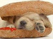 Hot dog... heh =)