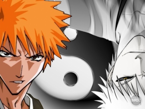 ichigo-yin-and-yang-small-353706.jpeg
ichigo-yin-and-yang-small-353706