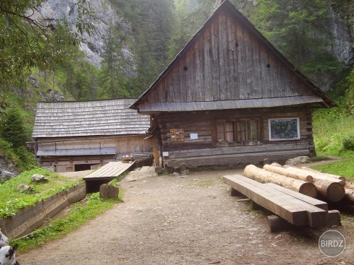 a tu už wóndrfúl leto plné poľských turistov a alkoholu