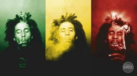 Bob <33333333