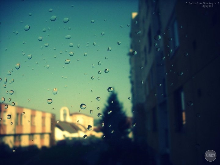 Drops :)