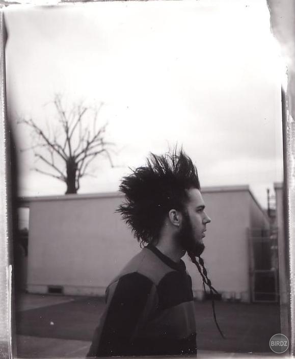 Wayne Static