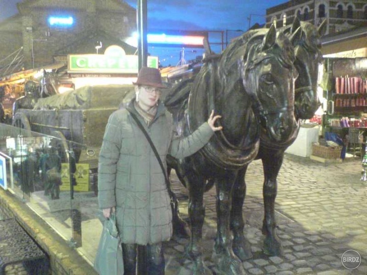 November 2009 - Opätovná návšteva Londýna, toto konkrétne je železné súsošie koní na Horse Markete v Camden Town. Príjemný predvianočný trip to bol...