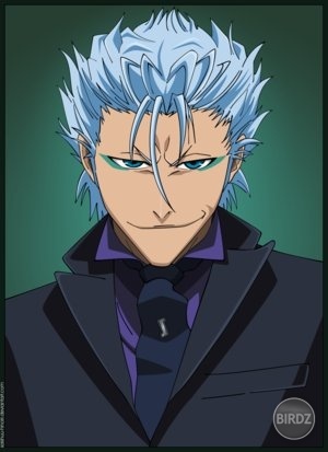 Grimmjow_Jeagerjaques_by_saishuu_hinoiri.png