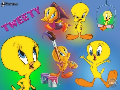 TWEETY..... mooc zvatýý... velmi ho mam rada <3 :) boo zvatýý vtáčik :P