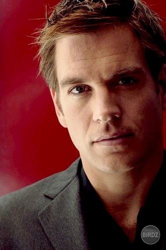 
Michael Weatherly