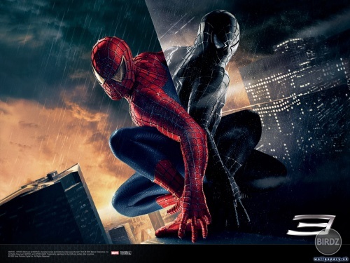 Spider-man III

15799.jpg
15799

..toto teraz hravam, drtim you!!!...