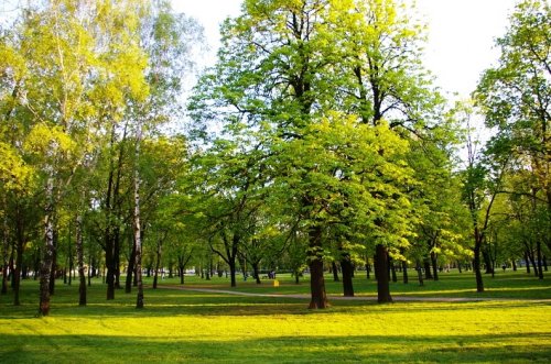 mestský park - večer neodporúčam