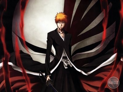 IchigoKurosakiBanKai.jpg
IchigoKurosakiBanKai
...

