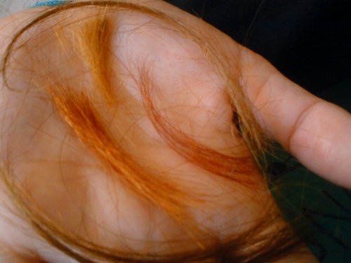 vlasy-uplne dolu su lenkine, uplne hore alenkine, cervene su moje, tmavsie oranzove nikine a slabsie oranzove nicine:)