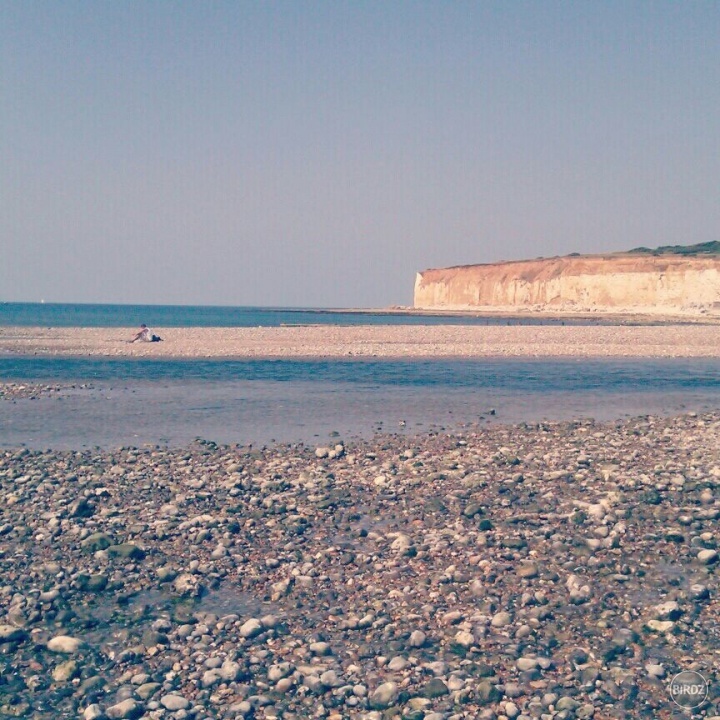 today morning :) Seven sisters-Brighton 