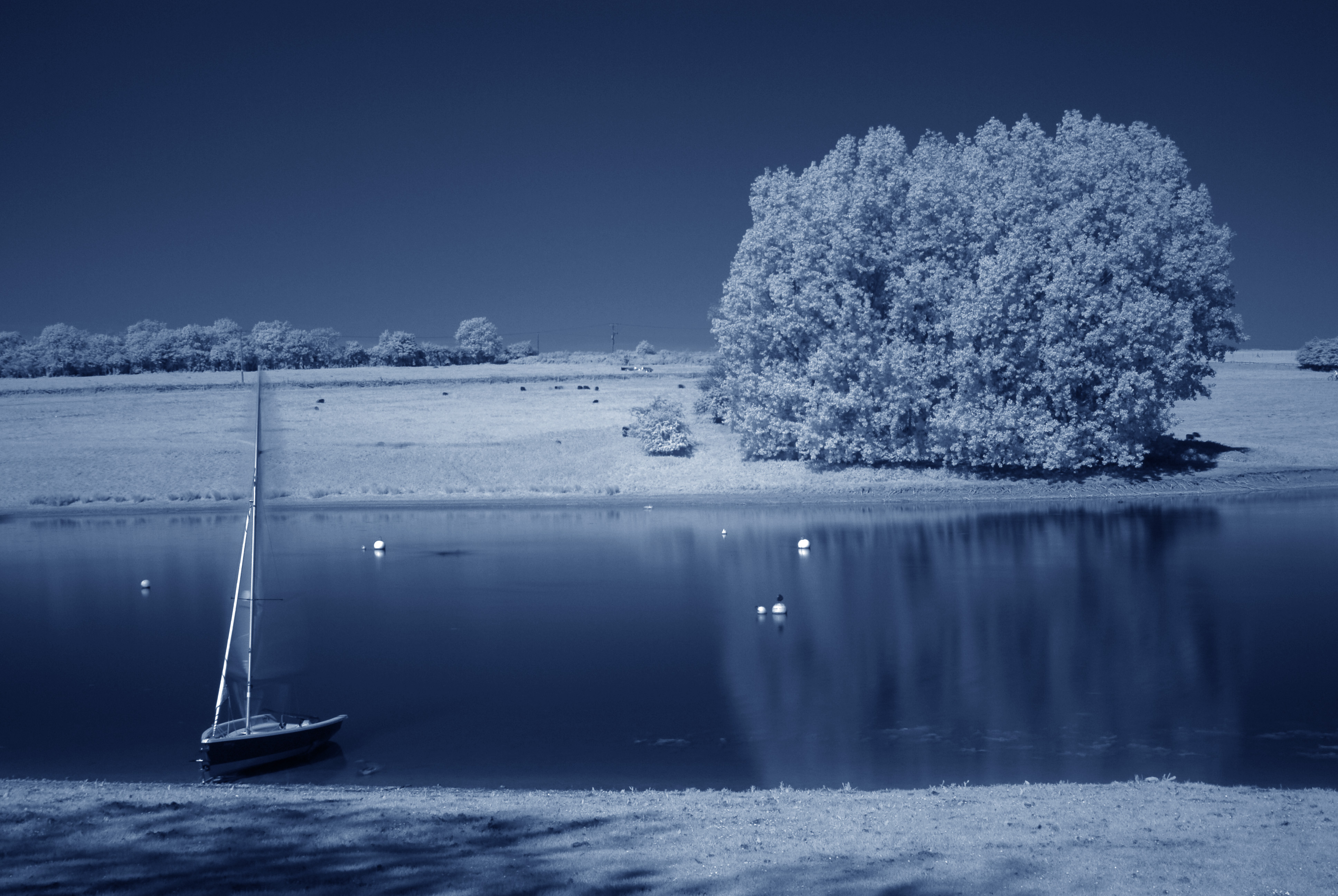 Rutland lake,IR fotografia -použil som špec. filter kt. odfiltruje vštko viditelné svetlo nad 720 nm..a samozrejme môj nokon vie zachytiť to podprahové:)