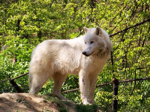 (: je proste to najkrásnejšie na celej zoo 