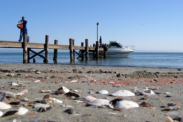 WALVIS BAY - filmár a fotograf Miro Pokorný Vás pozýva na Foto Safari do najfotogenickejšej krajiny sveta - viac info na: http://www.offroadtours.sk/fotosafari.html (Foto: Miloš Bubán Namíbia/2004)