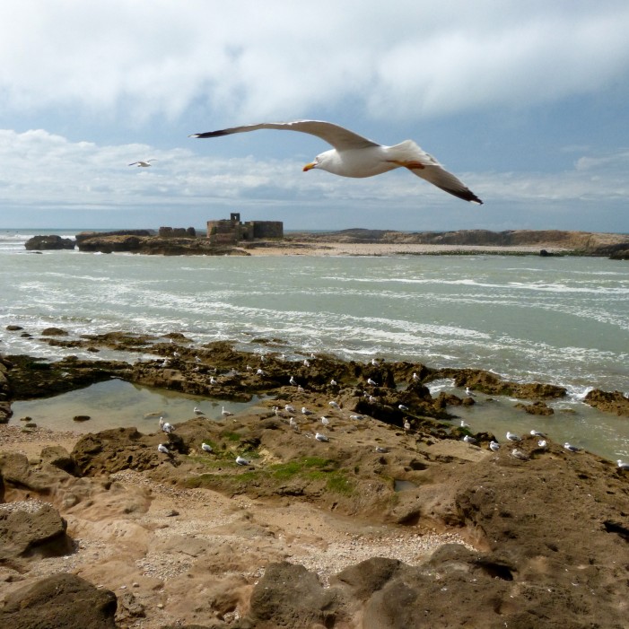 essaouira, maroko