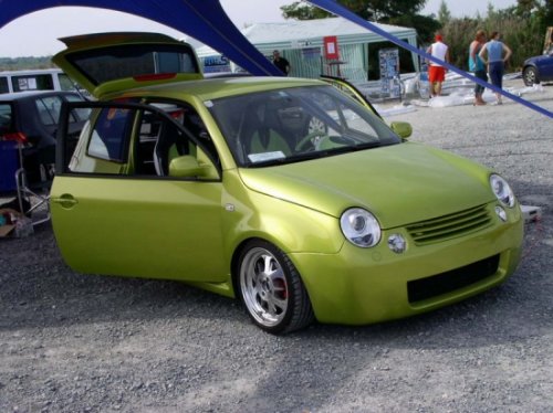 lupo