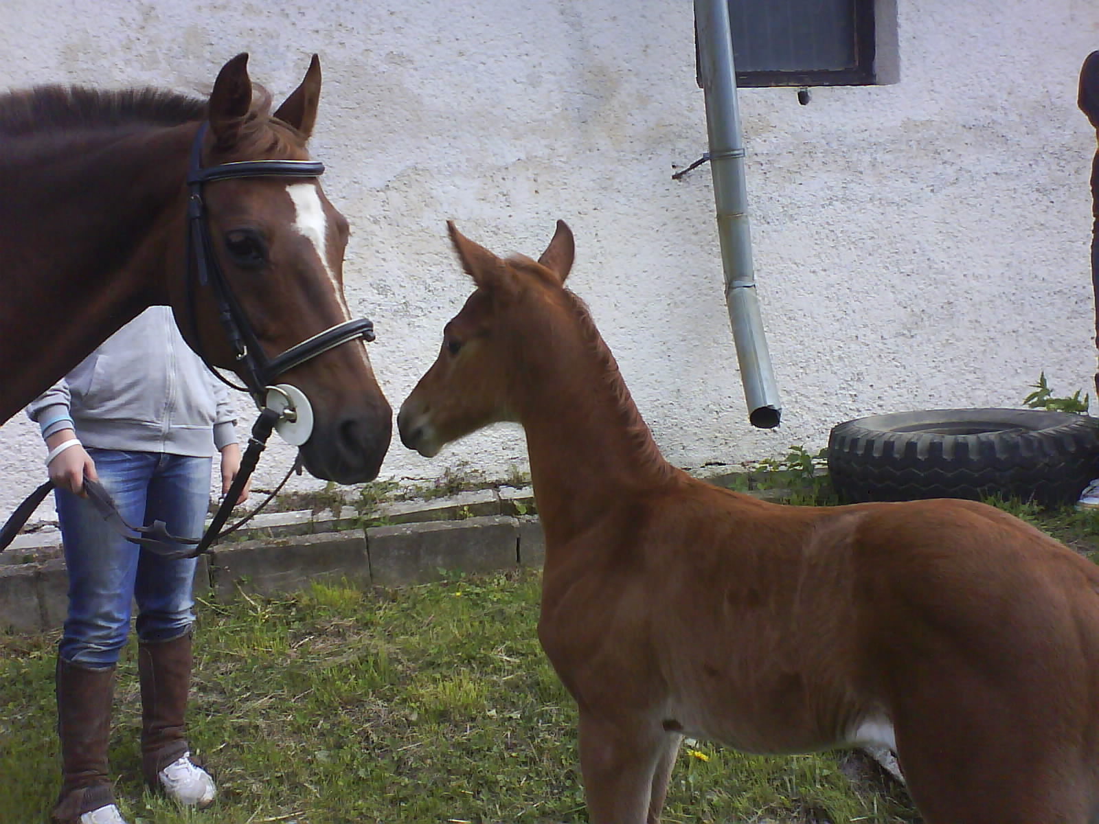 Jarča & malá Samira:)