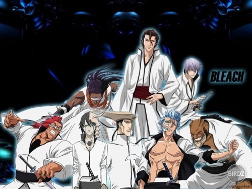 espada-bleach-small-435699.jpg
espada-bleach-small-435699
...