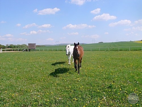 Windy a Candy :) hubinky