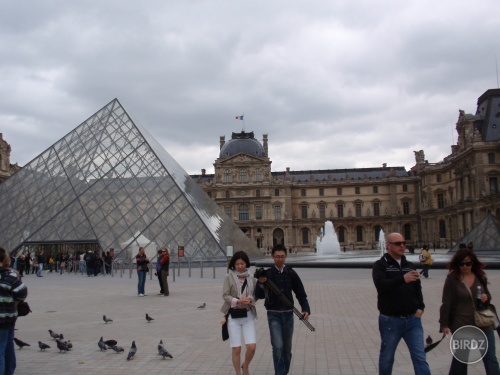 Louvre :P