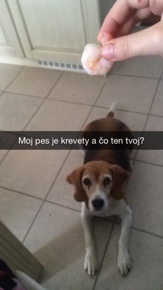 :D a tvoj? :D