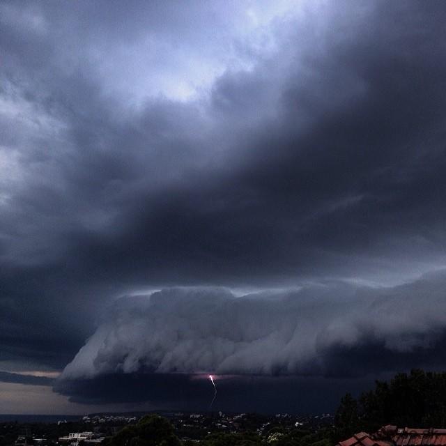 bliziaca sa burka v Sydney