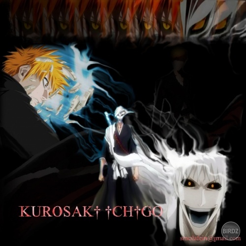 kurosaki-ichigo.jpg
kurosaki-ichigo