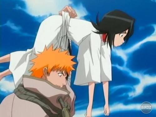 bleach_ichigo-rukia0132