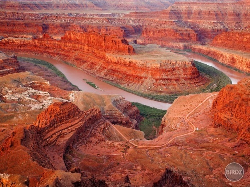 Colorado river z Dead Horse Point, Utah