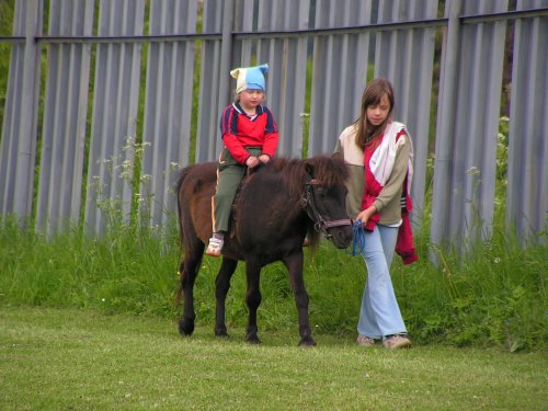 Obrázok