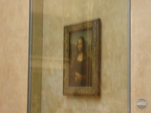 Trošku ma naštvalo že mona lisa bola taká malá takže som ju odfotila za pochodu a takto to dopadlo :D 