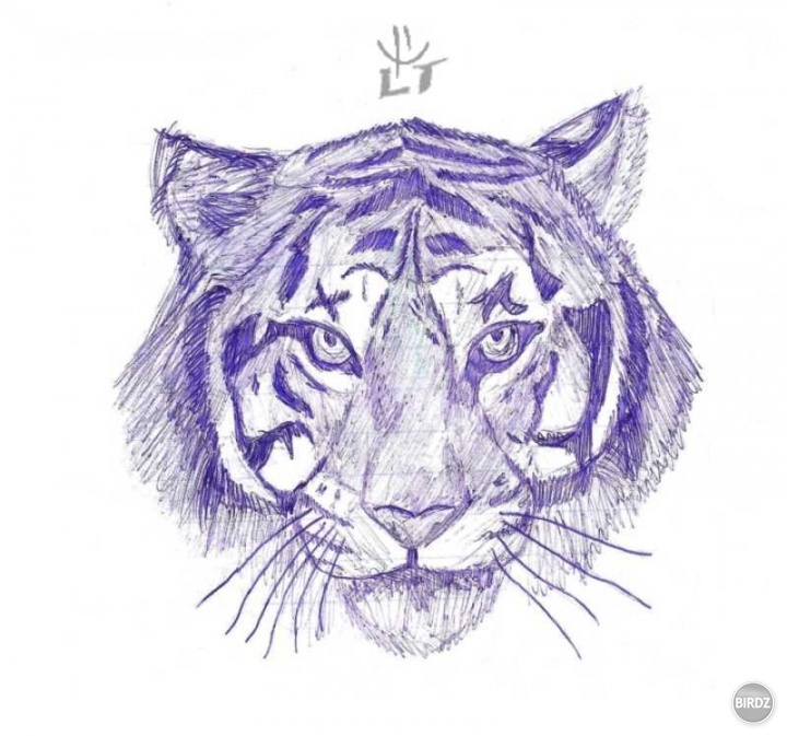 tiger