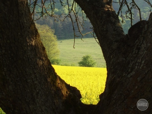 Obrázok