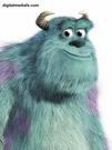 Sulley(Monsters a.s)