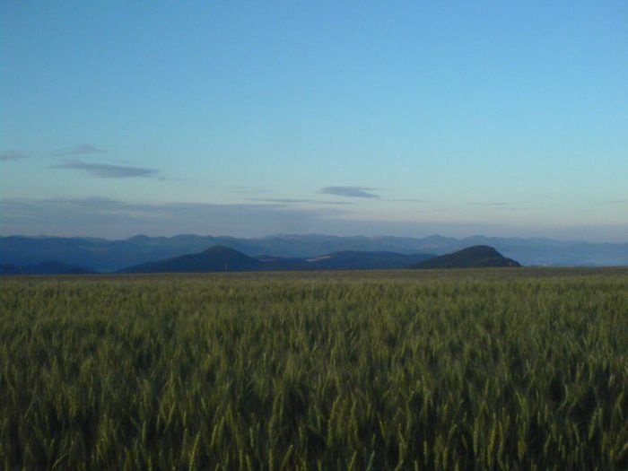 Somewhere...okolo. Všade okolo. Nikde inde som to nevidela..kde som sa otočila, tam bolo nádherne!