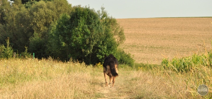 ..milášik ♥