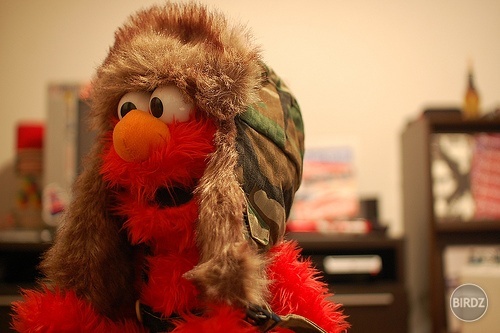 love Elmo!! :)