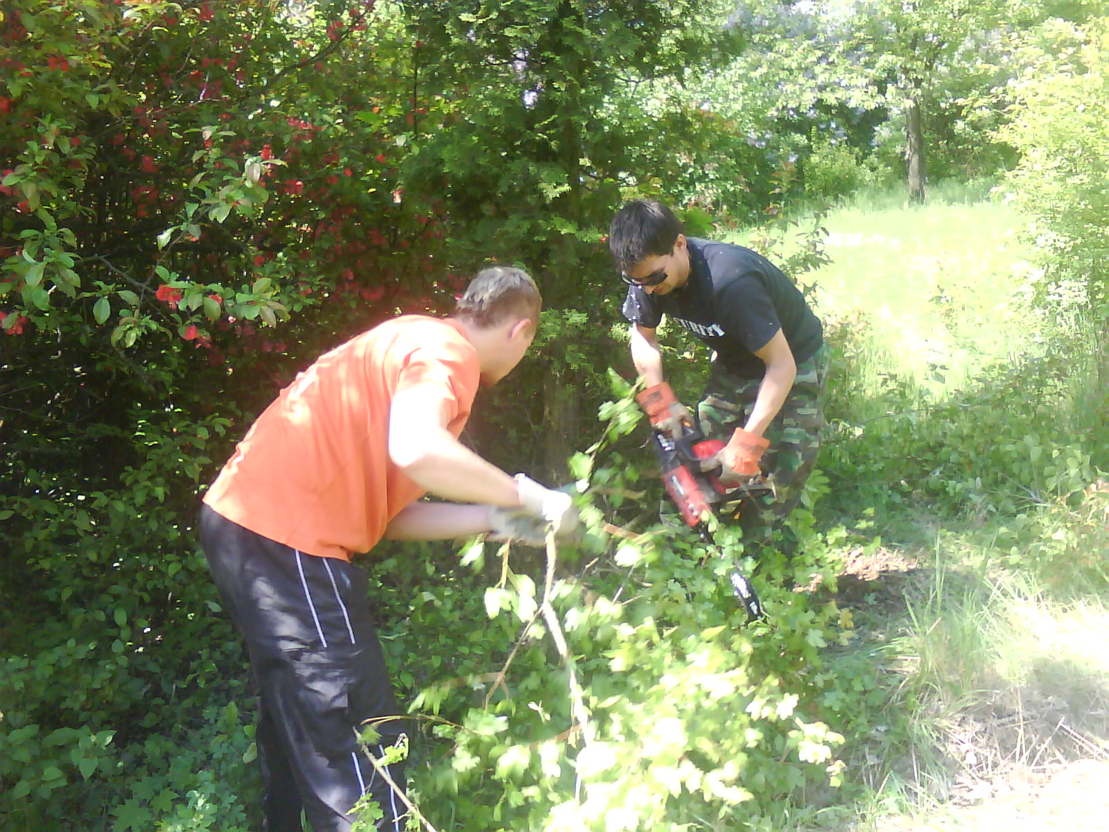 Mišo a Rišo in ekšn
(ekšn čistá záhrada)